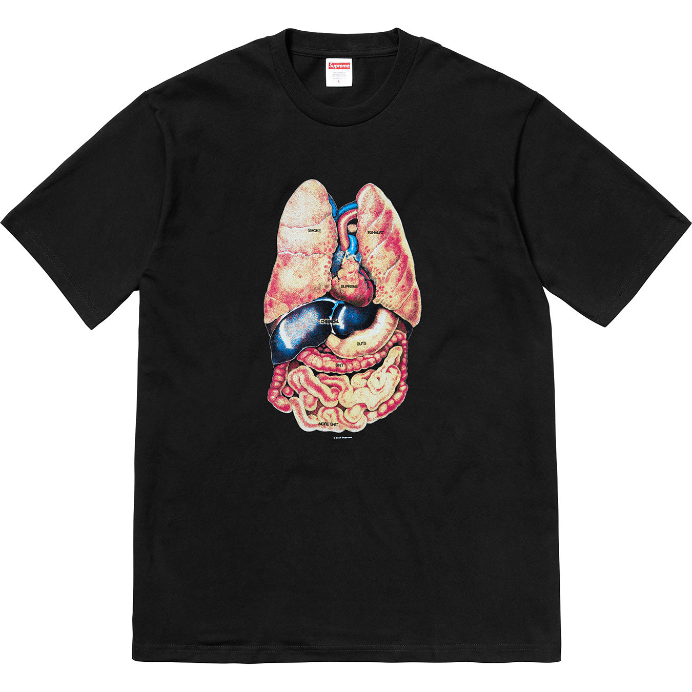 Guts Tee