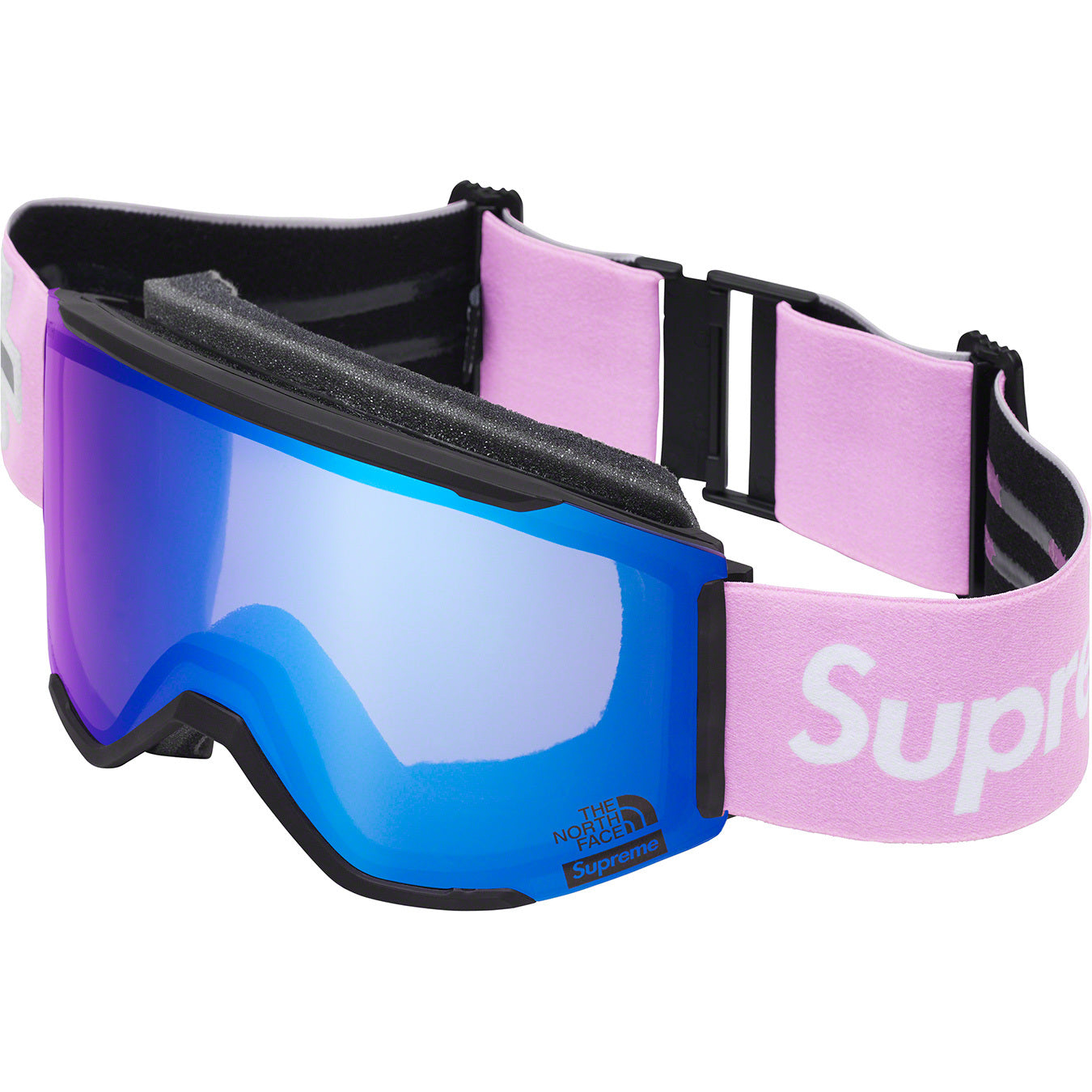 THE NORTH FACE® Smithrescure Goggles