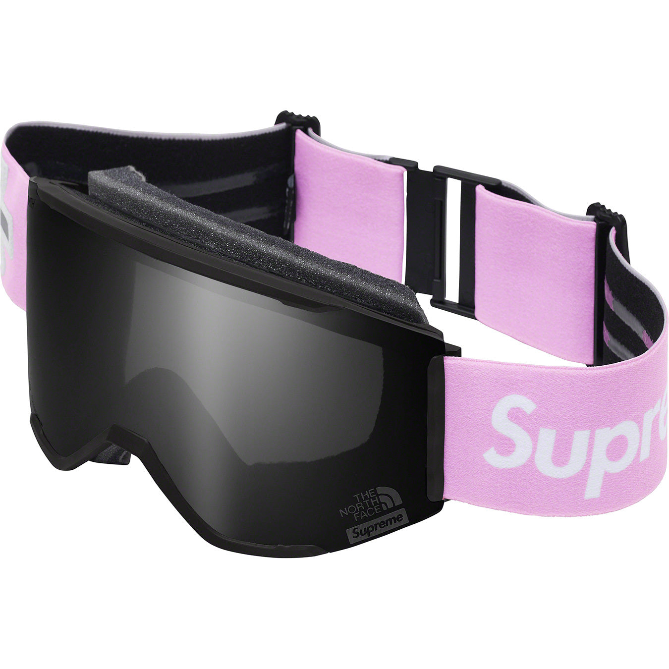 THE NORTH FACE® Smithrescure Goggles