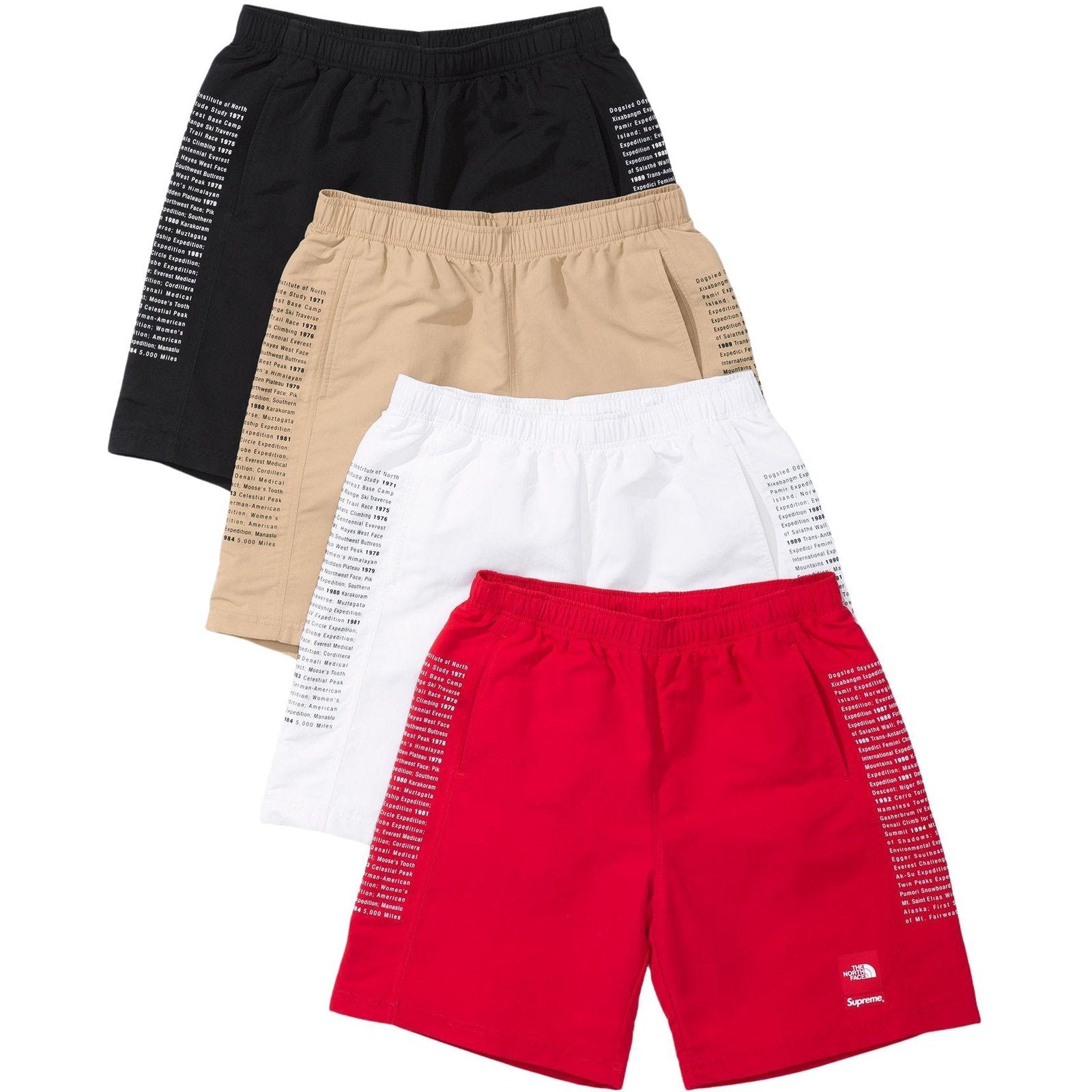 THE NORTH FACE NYLON SHORT