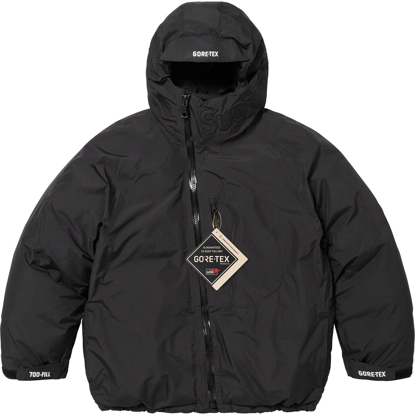 GORE-TEX 700フィルダウンパーカー