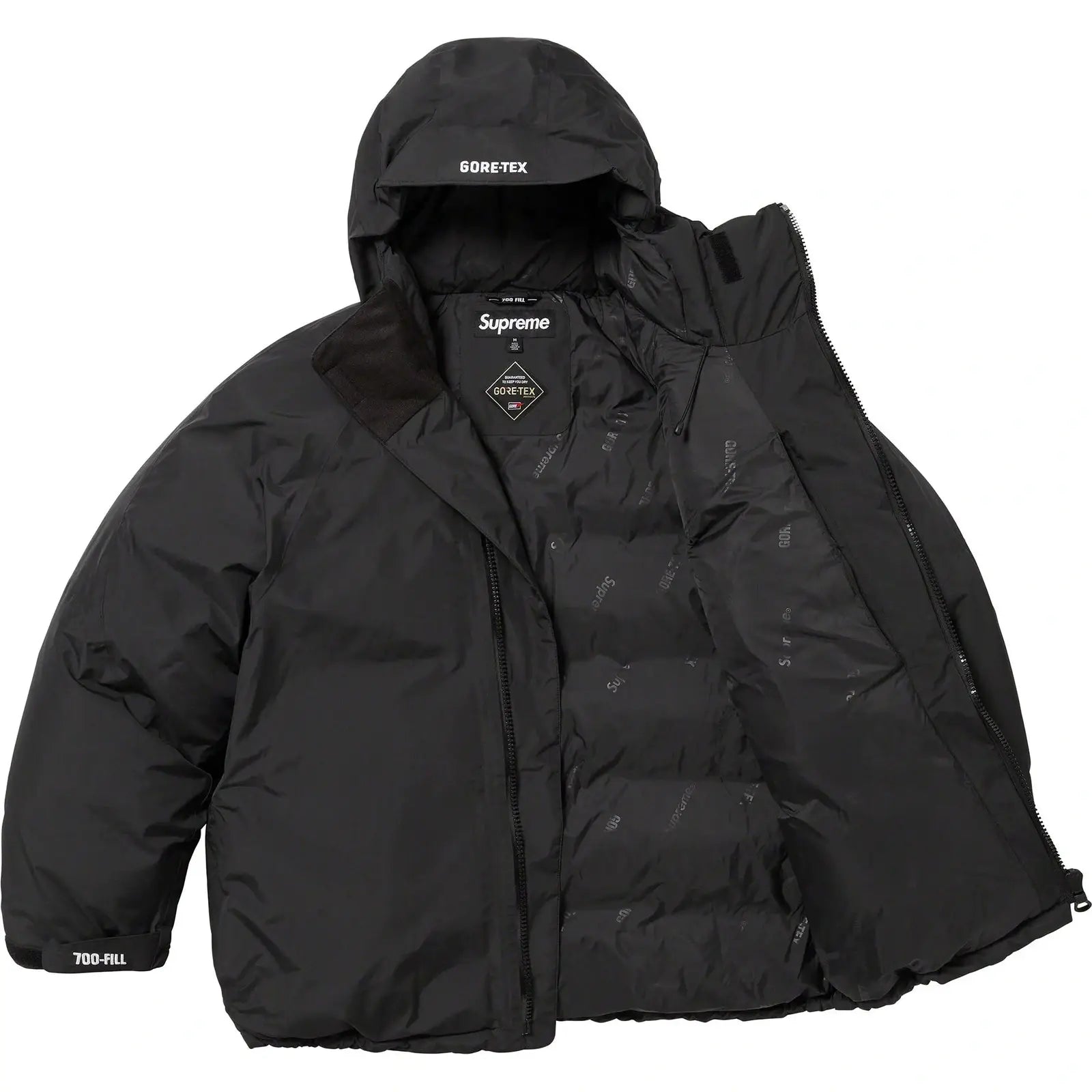 GORE-TEX 700-Fill Down Parka