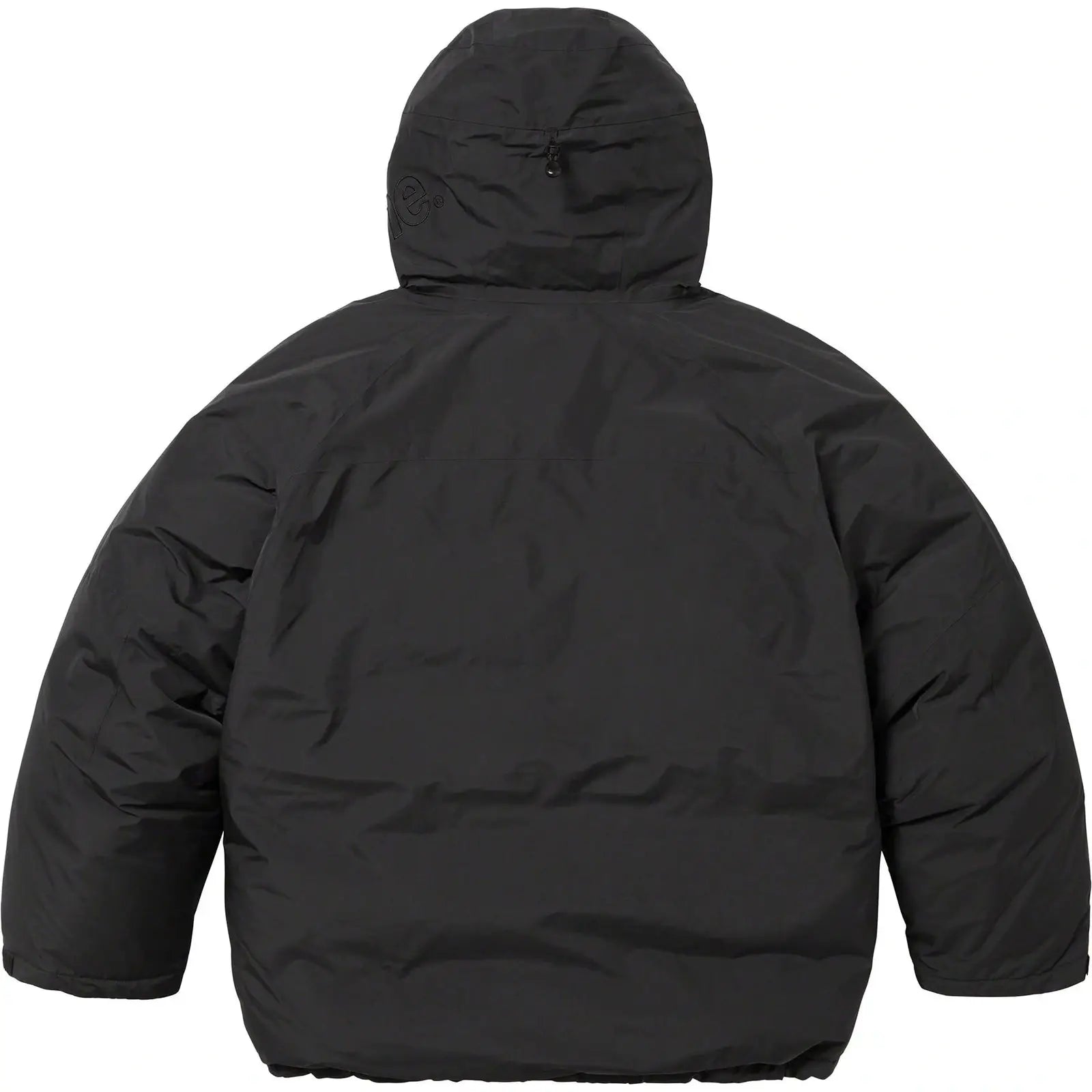 GORE-TEX 700-Fill Down Parka